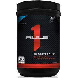 R1 Pre Train