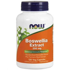 Boswellia Extract 250 mg